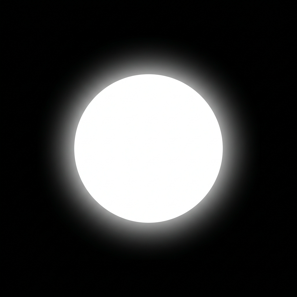 Ninety. app icon — tinted appearance, white circle on black for iOS to recolor